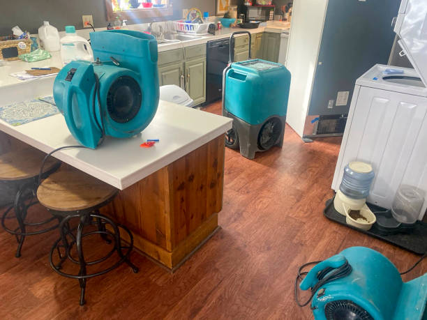 Best Ceiling water damage repair  in Sun Lakes, AZ