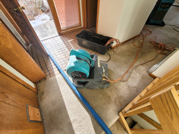 Best Flood damage cleanup  in Sun Lakes, AZ
