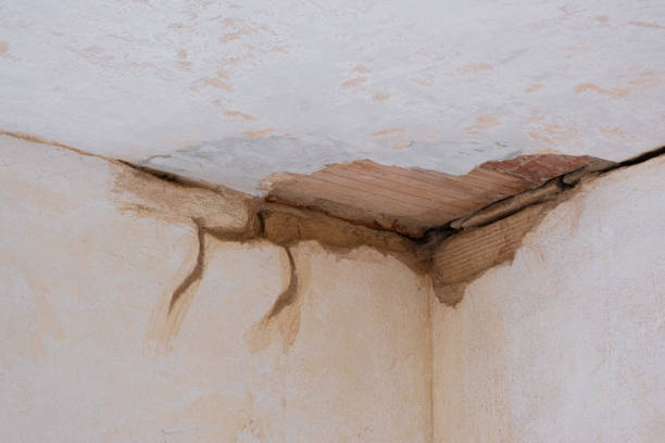 Best 24/7 water damage repair  in Sun Lakes, AZ
