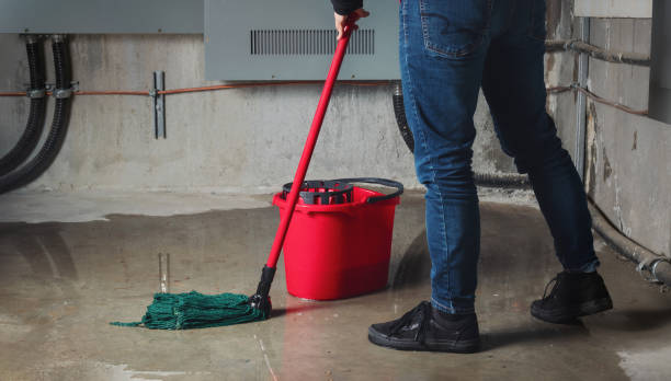 Best Mold removal after water damage  in Sun Lakes, AZ