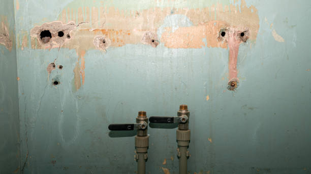 Best Water damage restoration company  in Sun Lakes, AZ