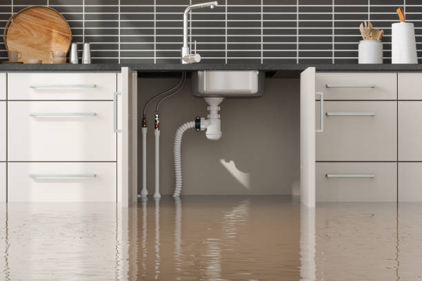 Best Flooded house restoration  in Sun Lakes, AZ