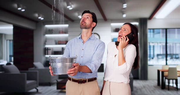 Carpet water damage restoration in Sun Lakes, AZ